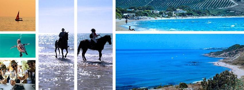 Villa Giadel 멘피 외부 사진